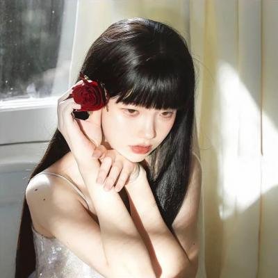 蜂蜜与四叶草